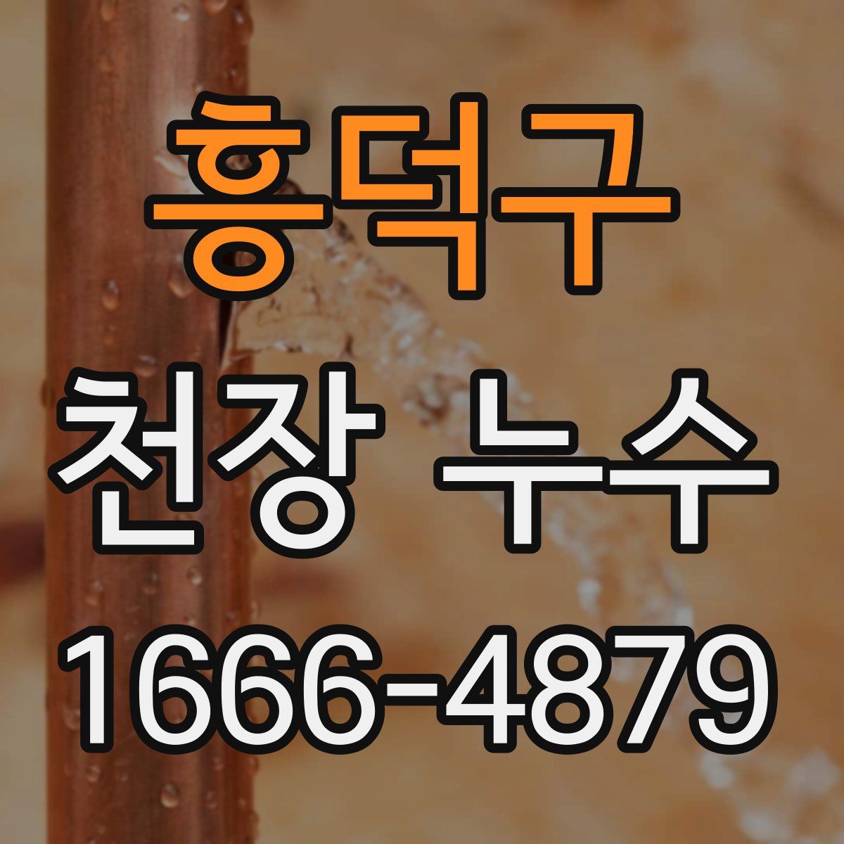 흥덕구 천장 누수