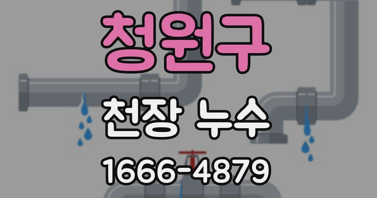 청원구 천장 누수