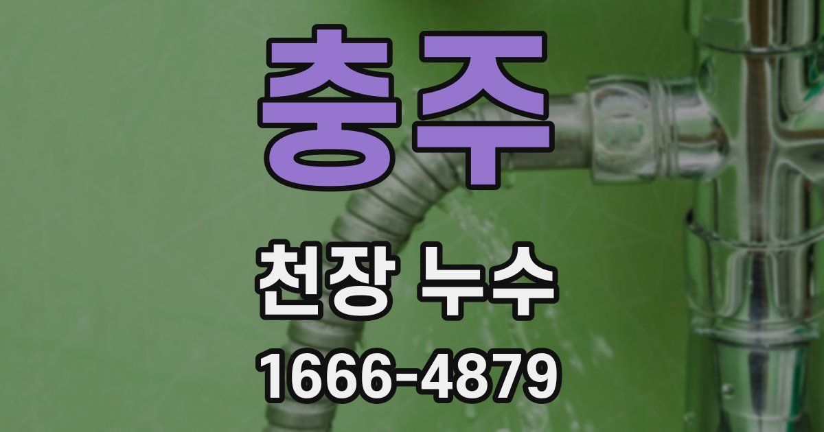 충주 천장 누수