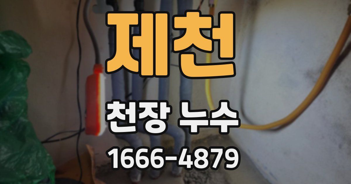 제천 천장 누수