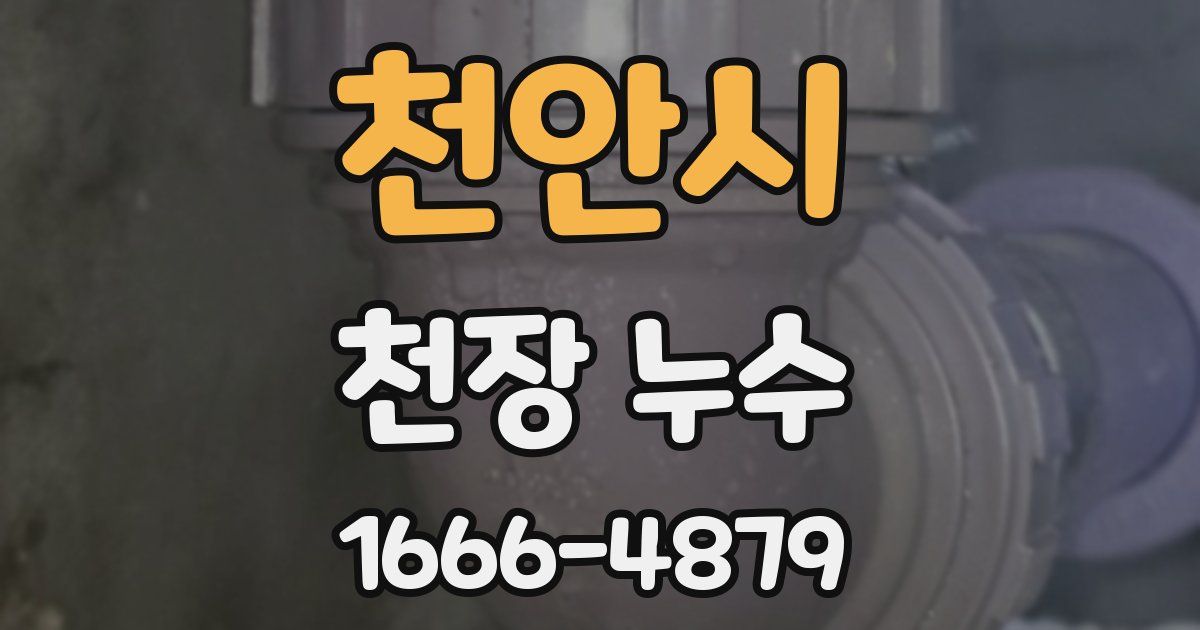 천안시 천장 누수