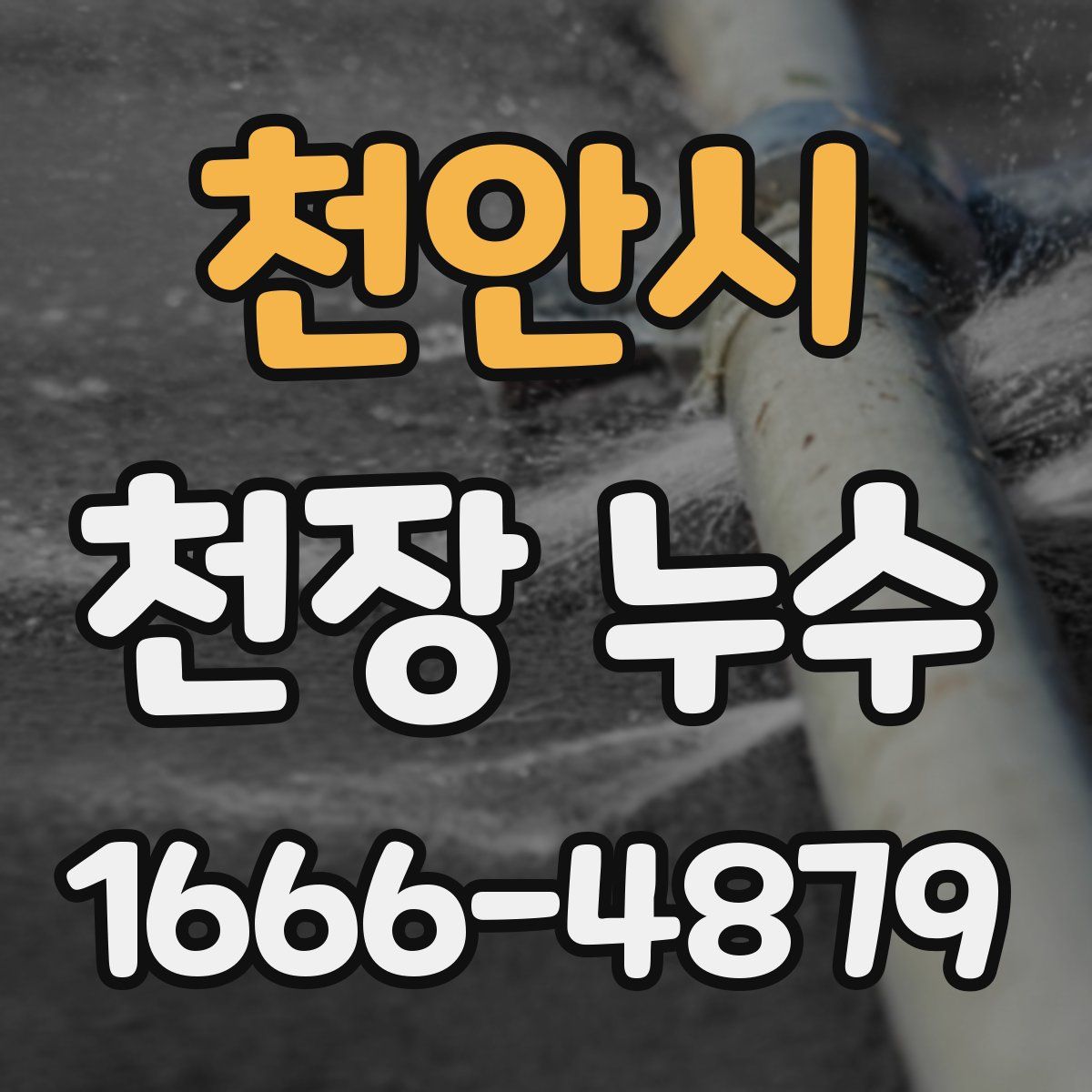 천안시 천장 누수