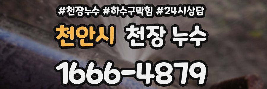 천안시 천장 누수