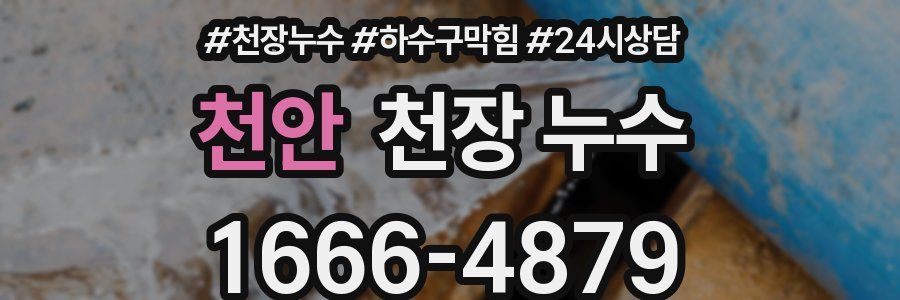 천안 천장 누수