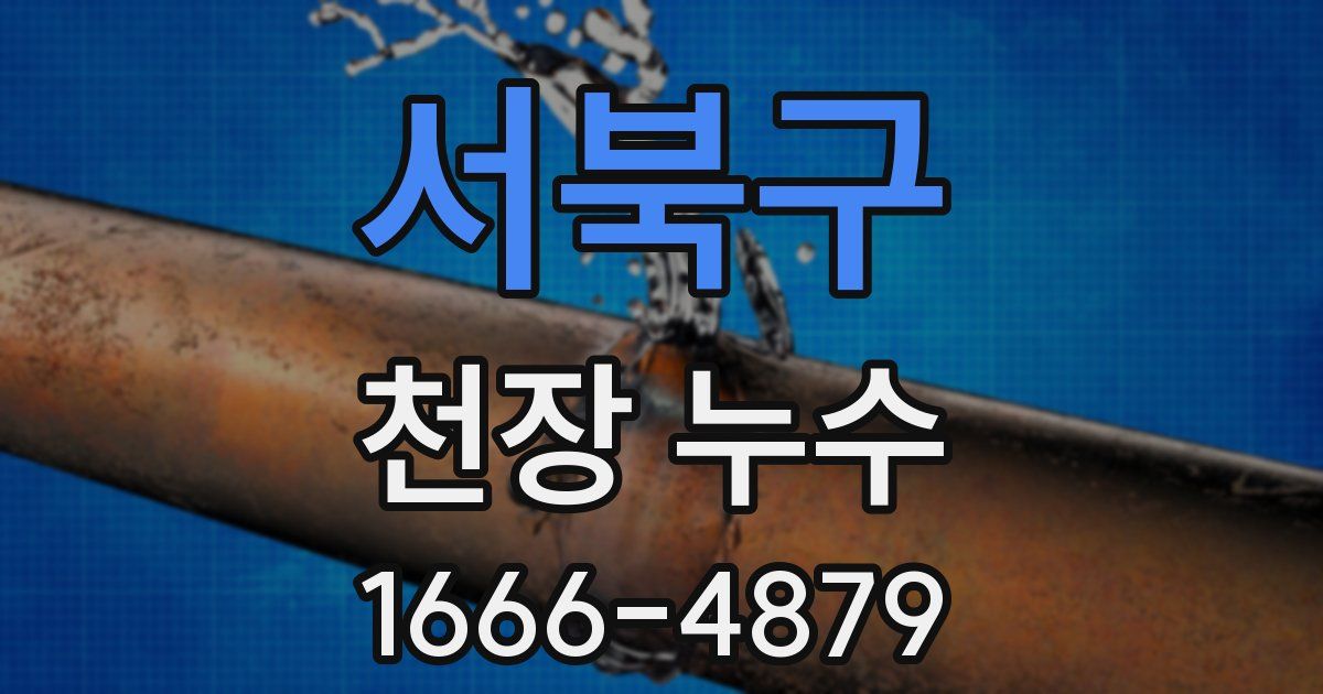 서북구 천장 누수