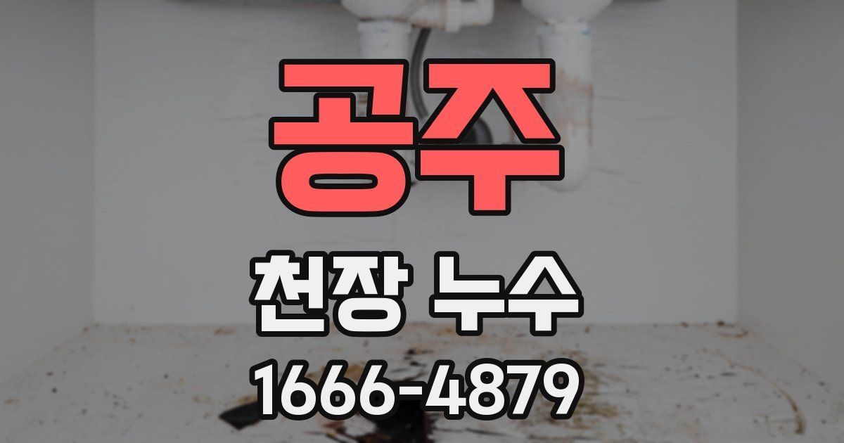 공주 천장 누수