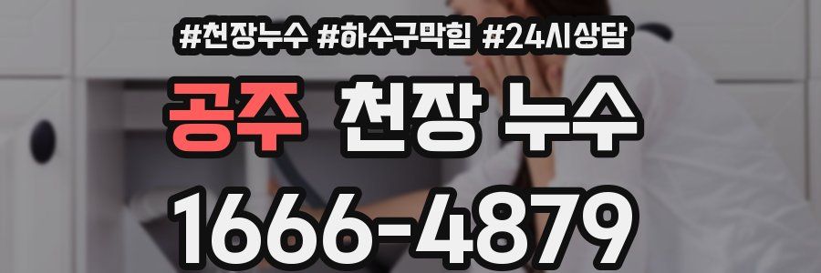 공주 천장 누수