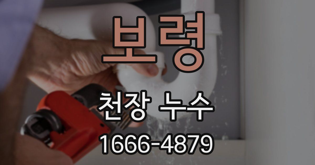 보령 천장 누수