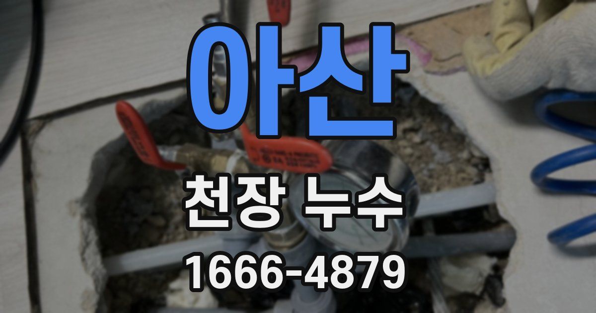 아산 천장 누수