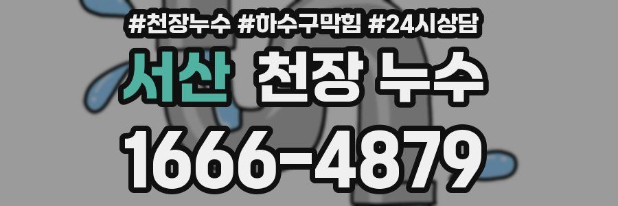 서산 천장 누수