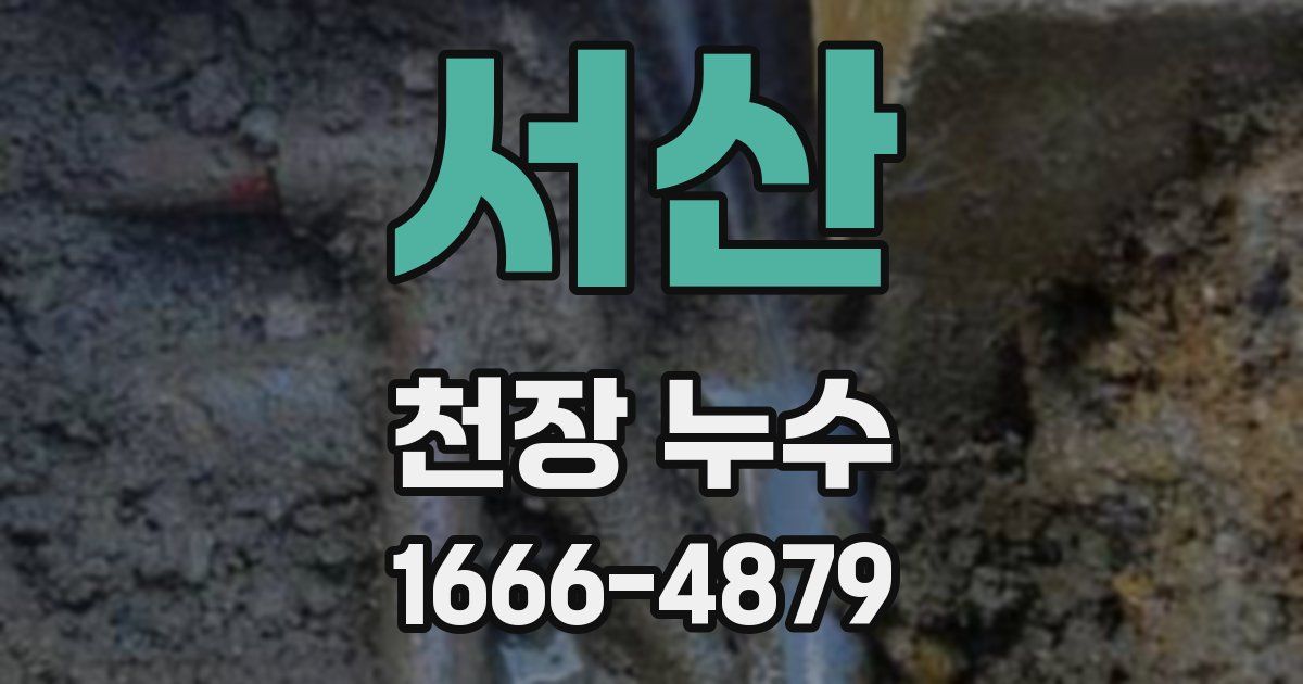 서산 천장 누수