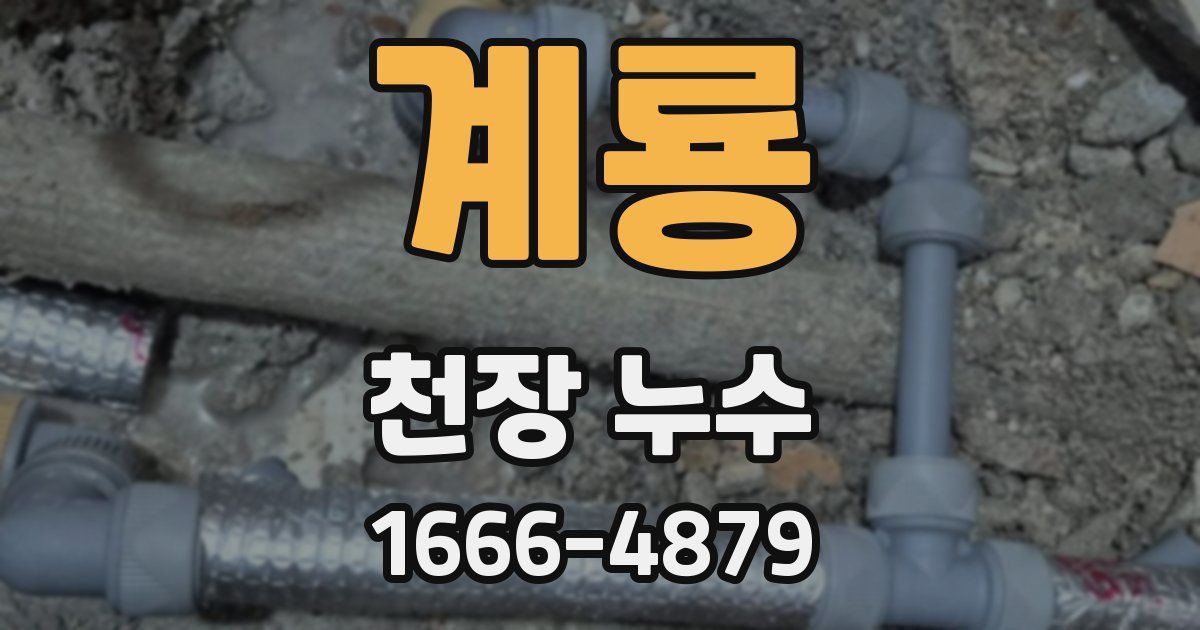 계룡 천장 누수