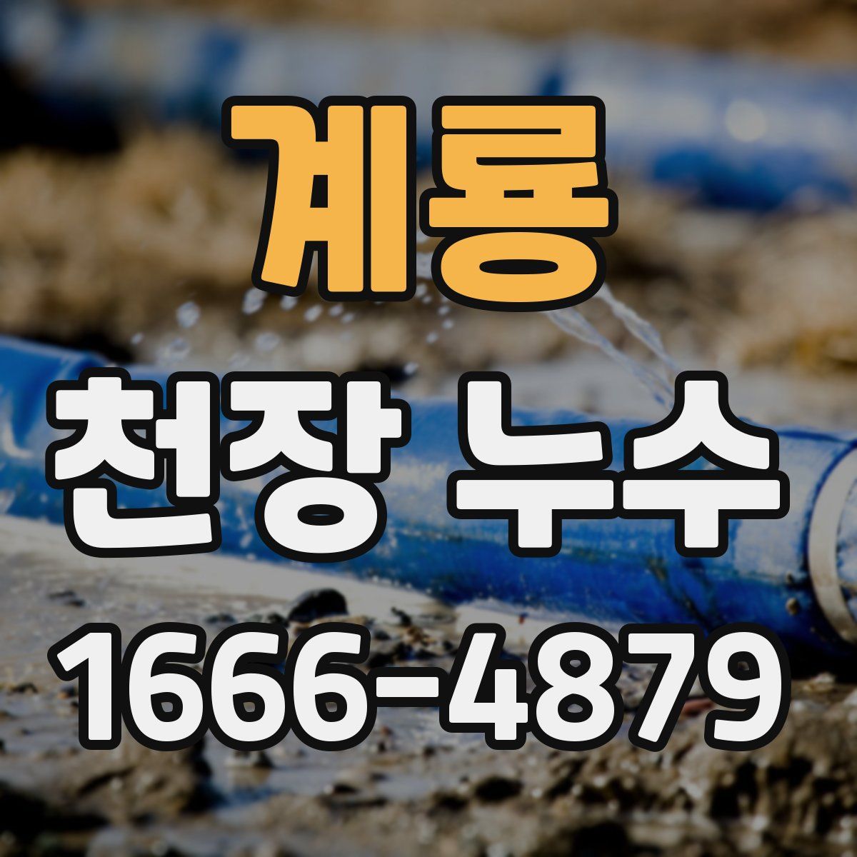 계룡 천장 누수