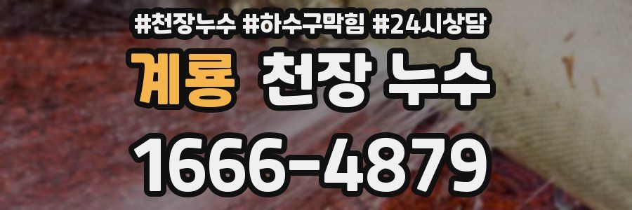 계룡 천장 누수