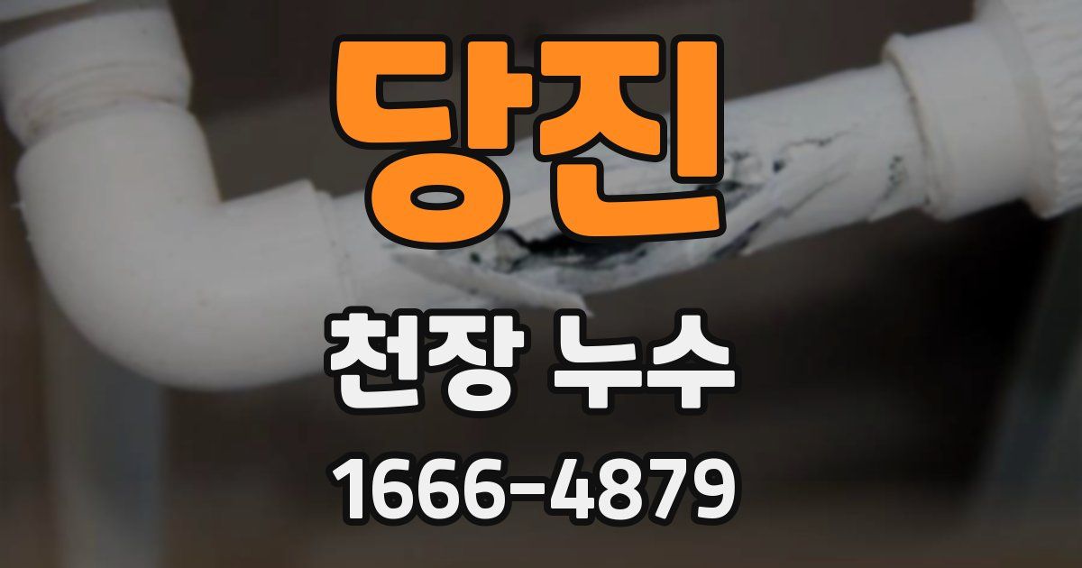 당진 천장 누수