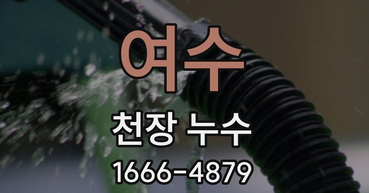 여수 천장 누수