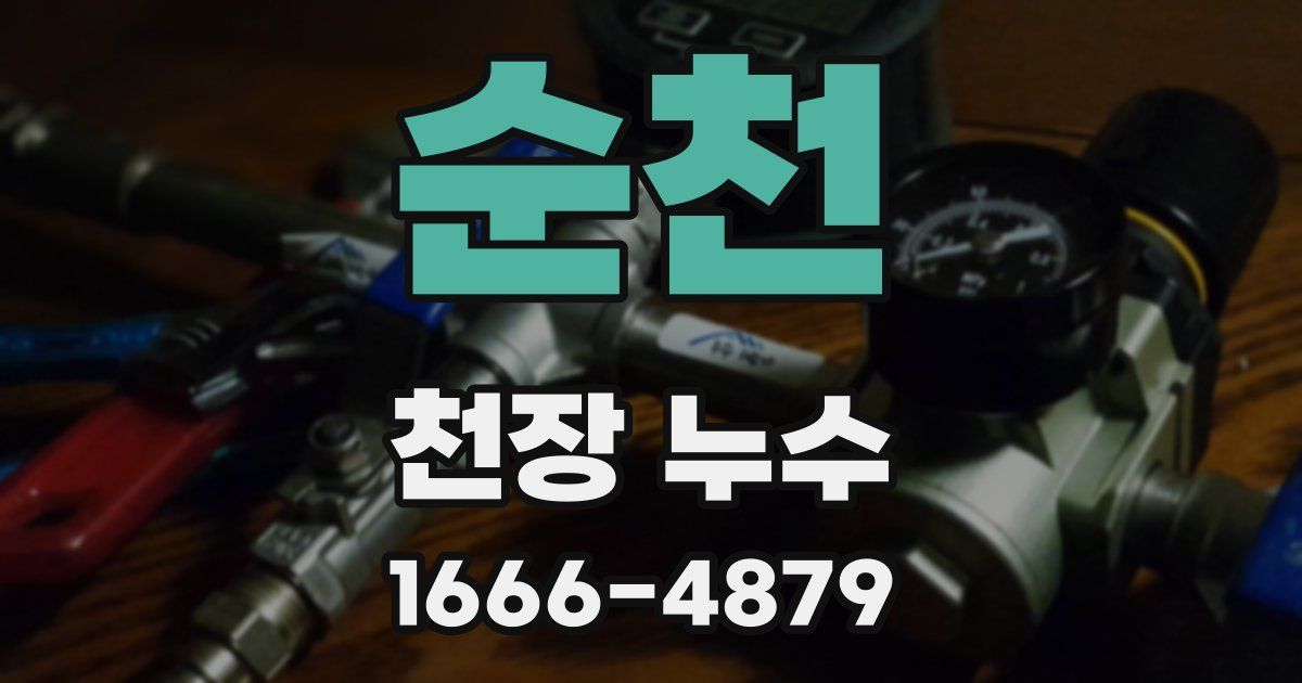 순천 천장 누수