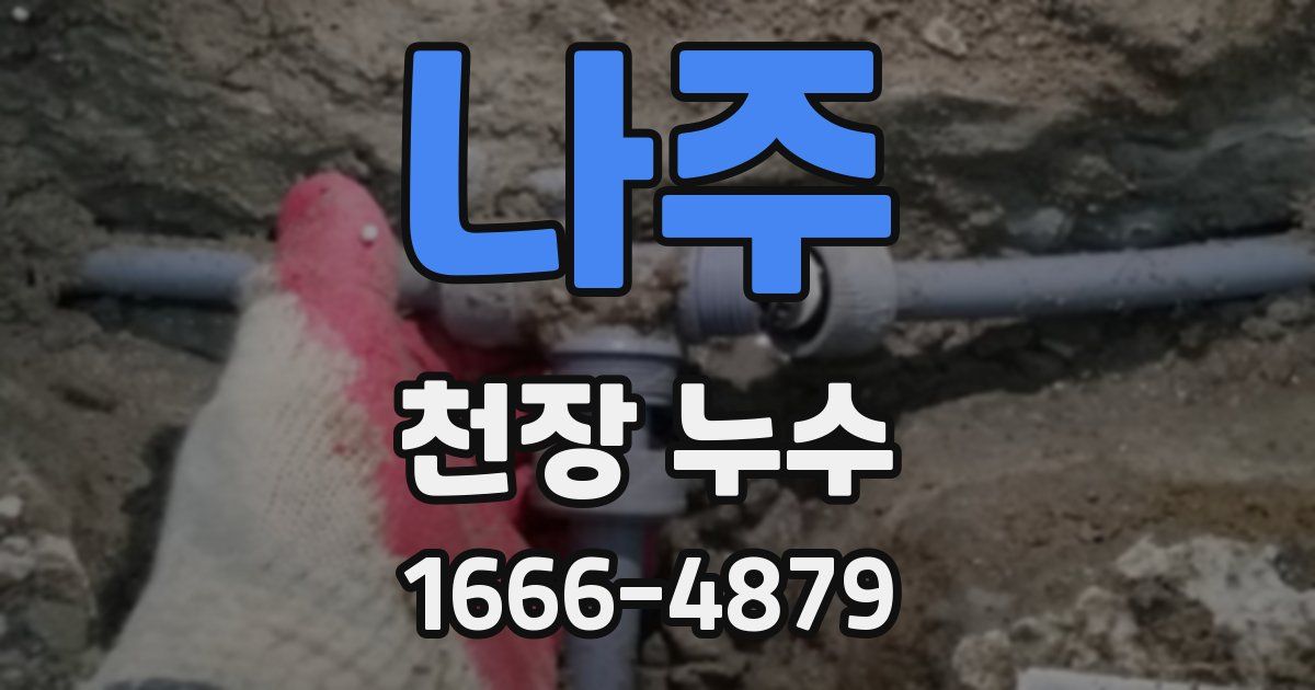 나주 천장 누수