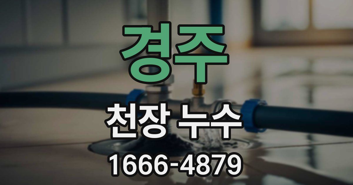 경주 천장 누수