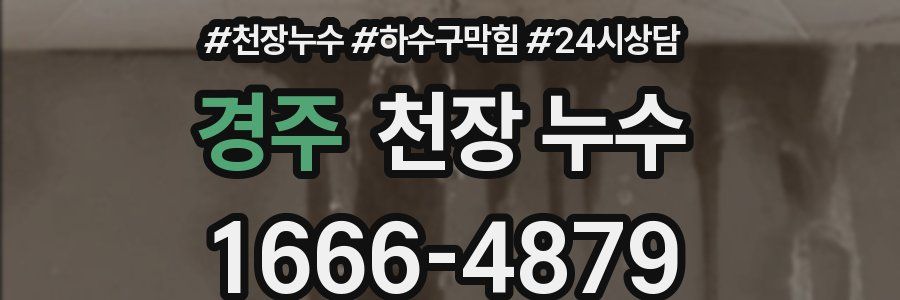 경주 천장 누수