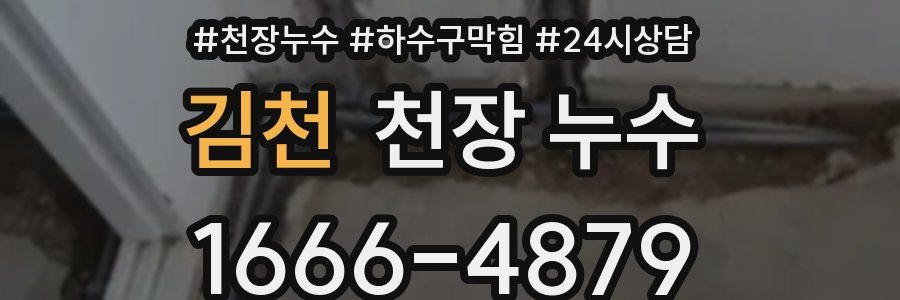 김천 천장 누수