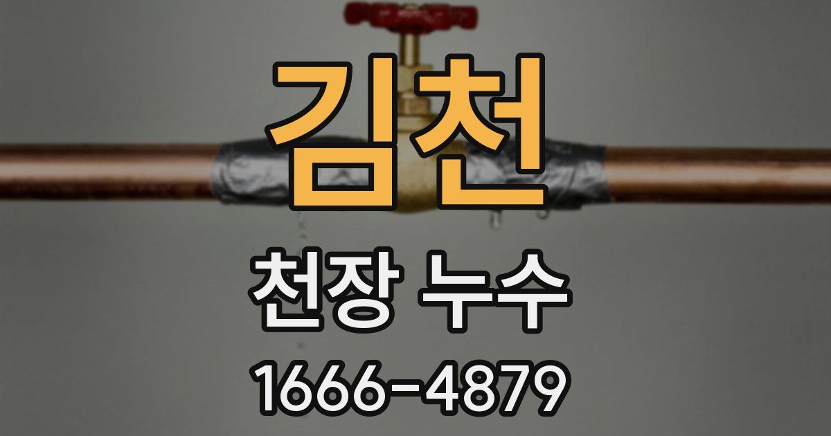 김천 천장 누수