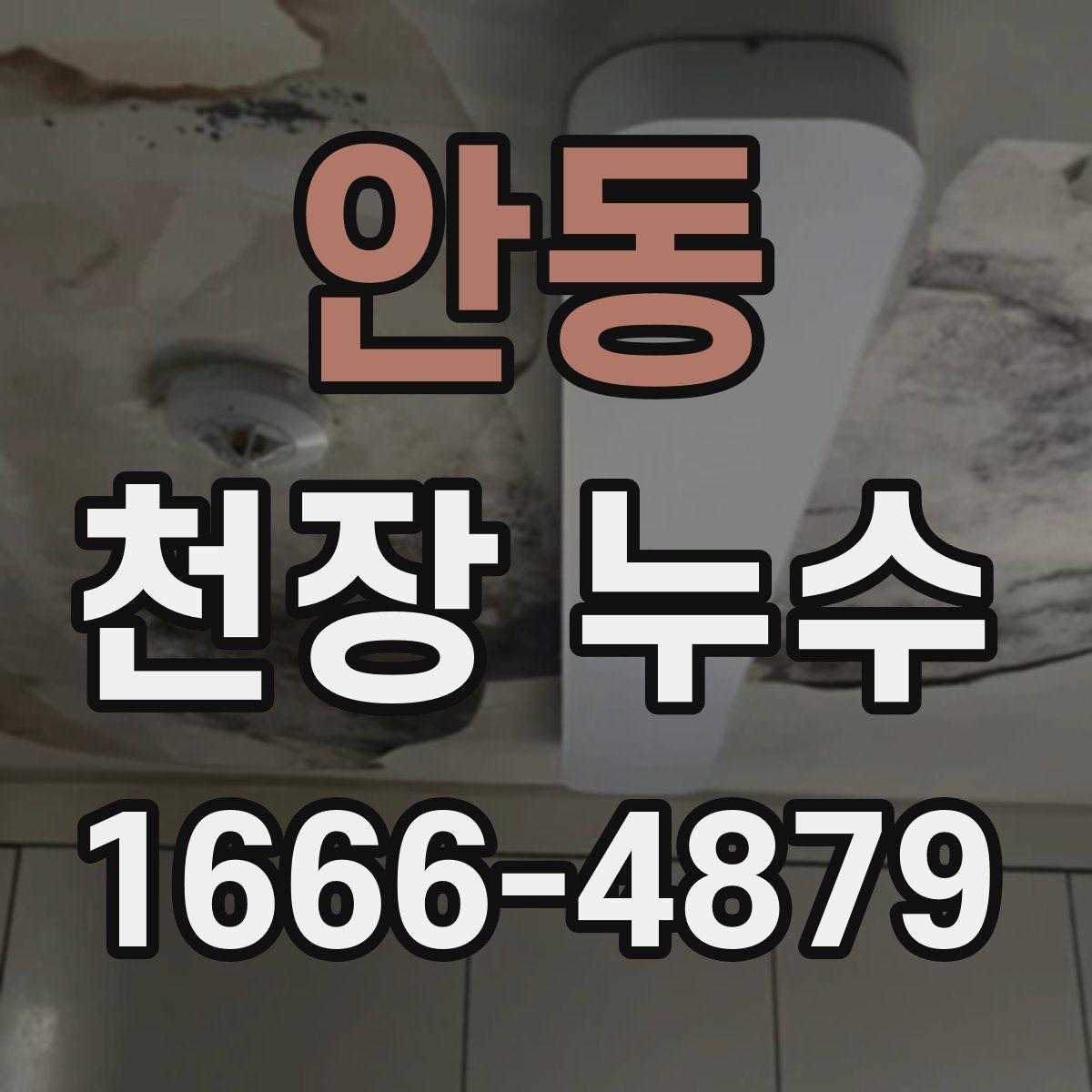 안동 천장 누수