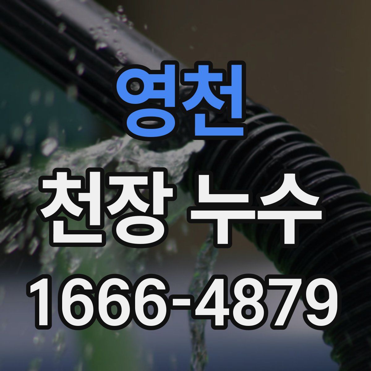 영천 천장 누수