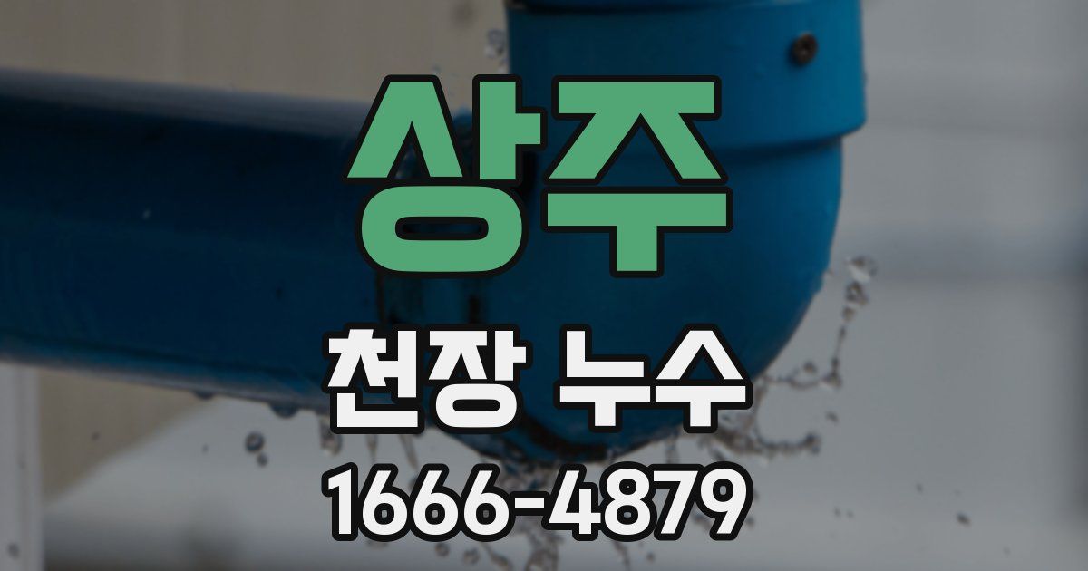 상주 천장 누수