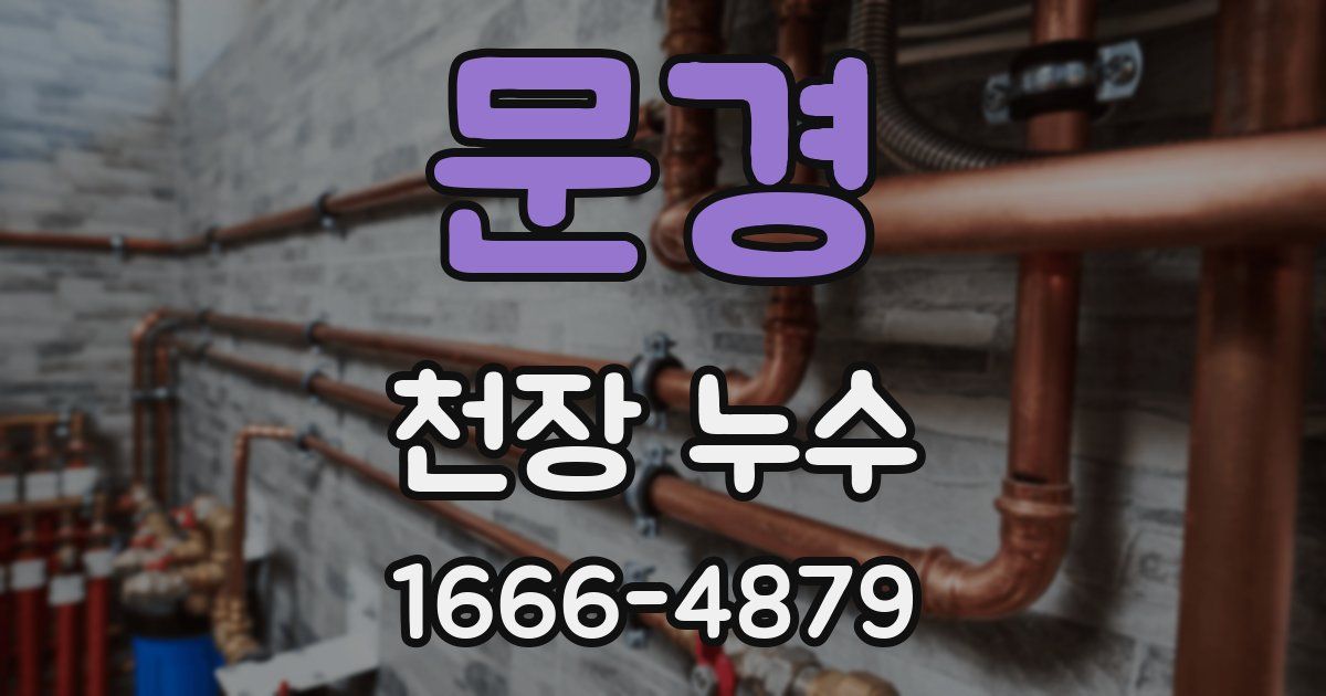 문경 천장 누수