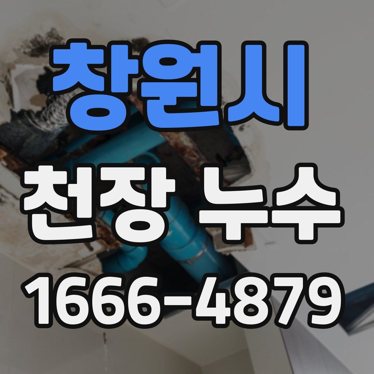 창원시 천장 누수