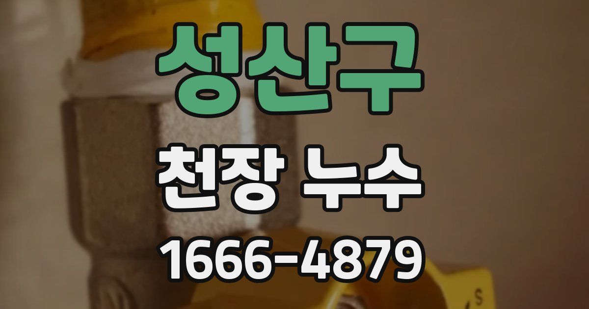 성산구 천장 누수