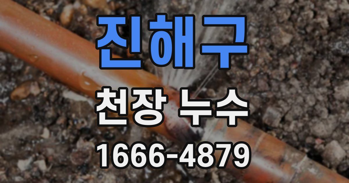 진해구 천장 누수