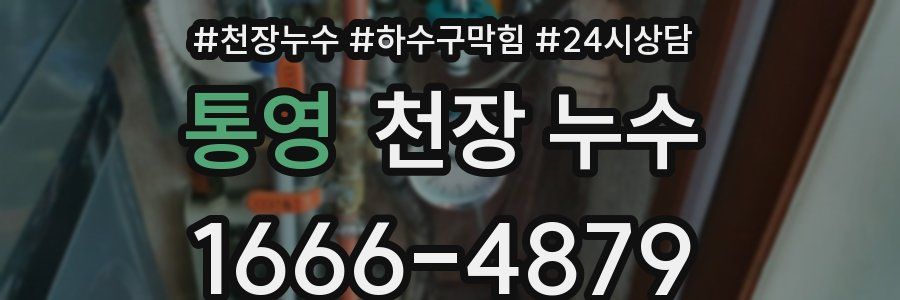 통영 천장 누수