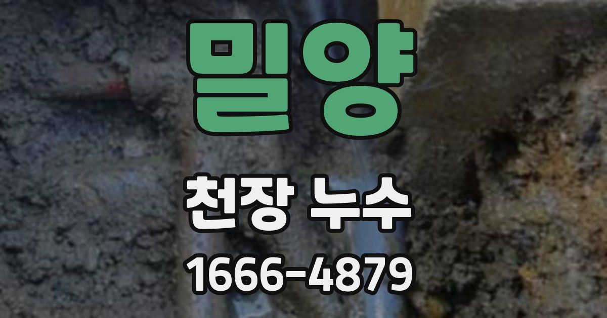 밀양 천장 누수