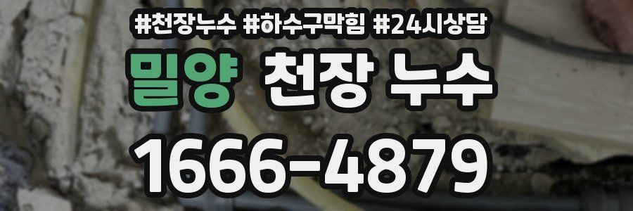 밀양 천장 누수