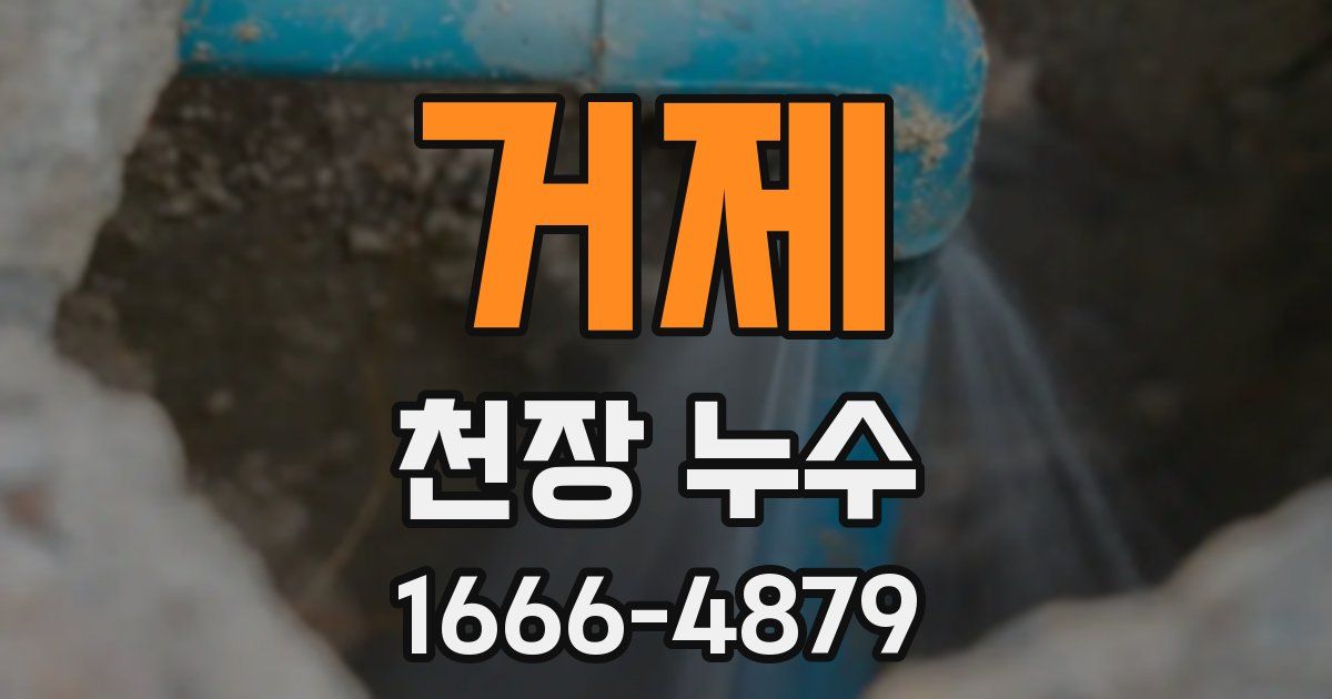 거제 천장 누수