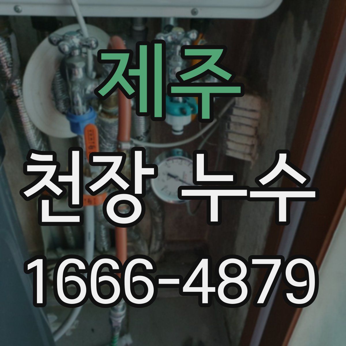 제주 천장 누수