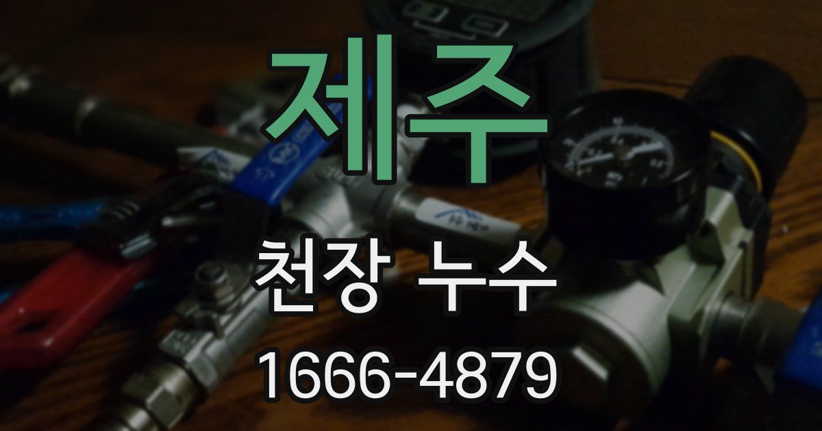 제주 천장 누수