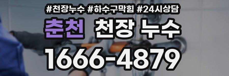 춘천 천장 누수