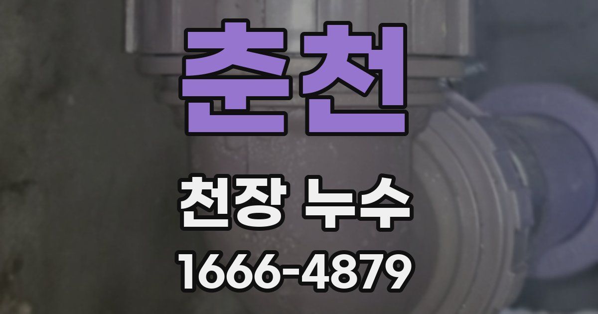 춘천 천장 누수