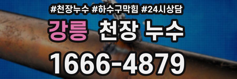 강릉 천장 누수