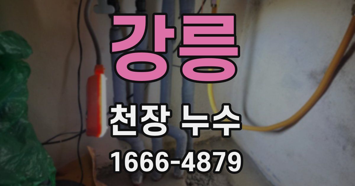 강릉 천장 누수