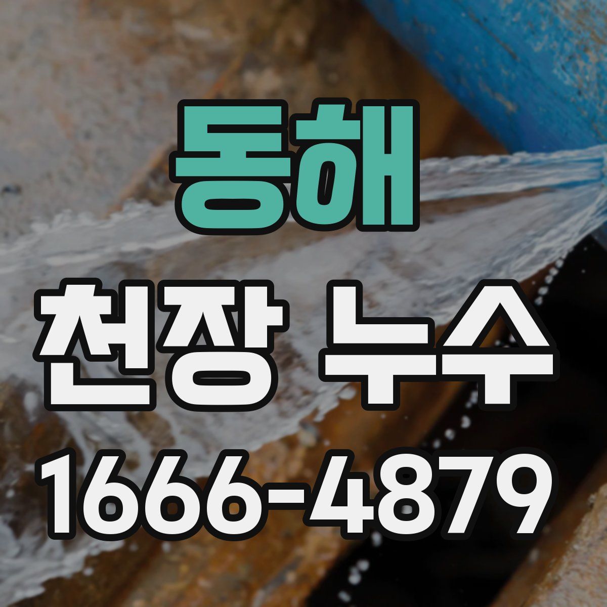 동해 천장 누수