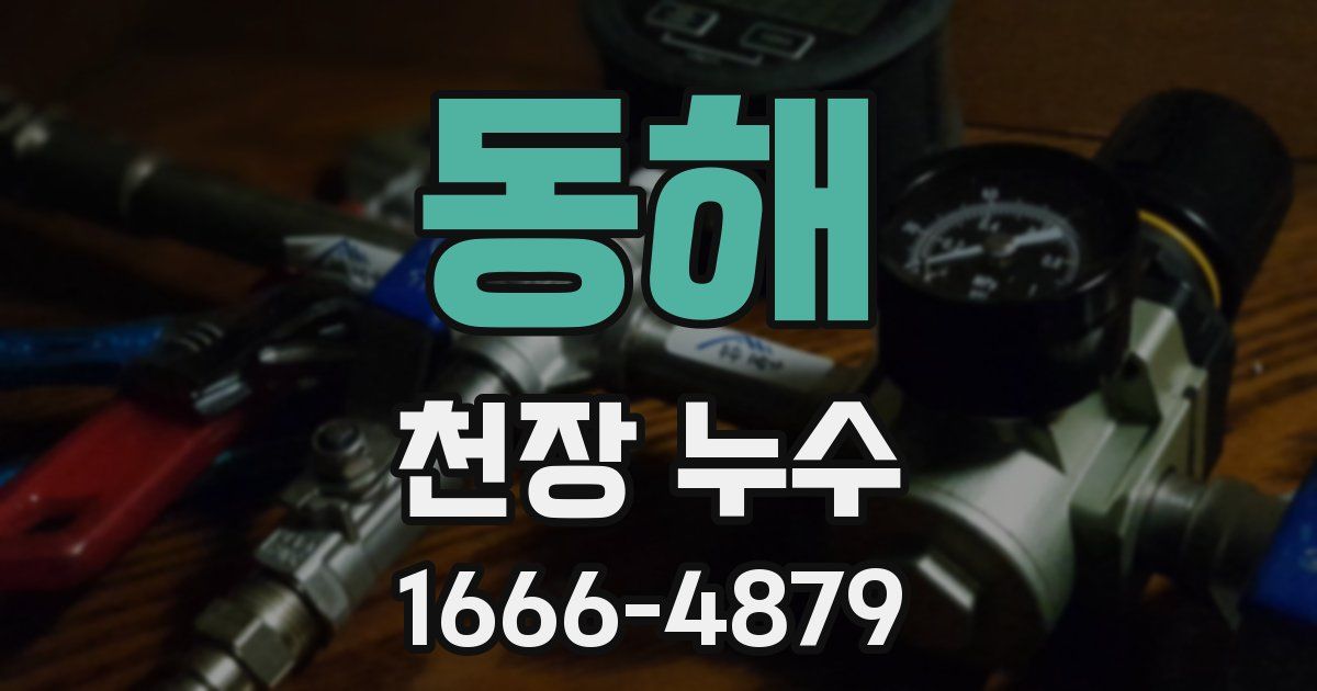 동해 천장 누수