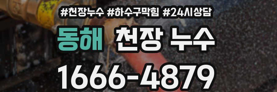 동해 천장 누수