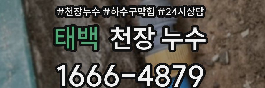 태백 천장 누수