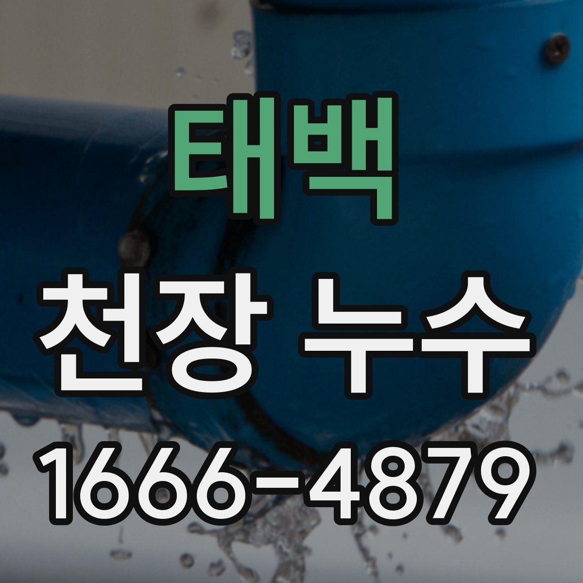 태백 천장 누수