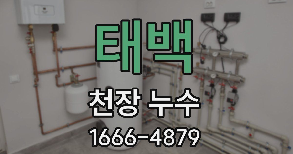 태백 천장 누수