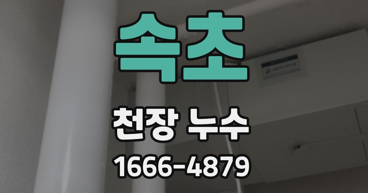 속초 천장 누수